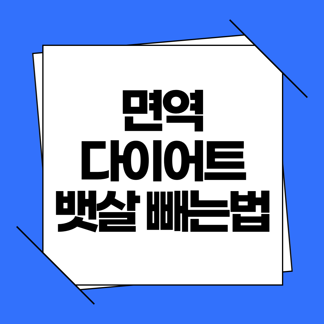 면역 다이어트 뱃살 빼는법